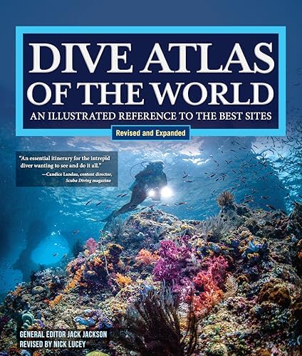 Dive the Red Sea: Complete Guide to Diving and Snorkeling